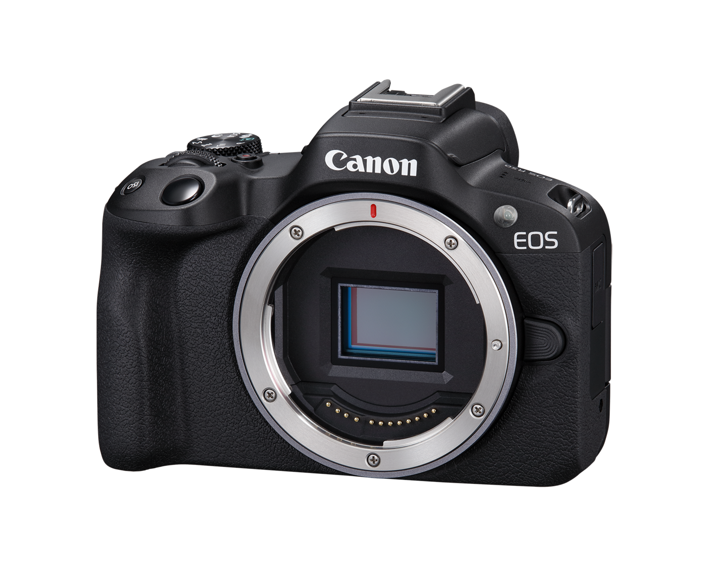 نمای پشت و نمایشگر چرخان Canon EOS R50